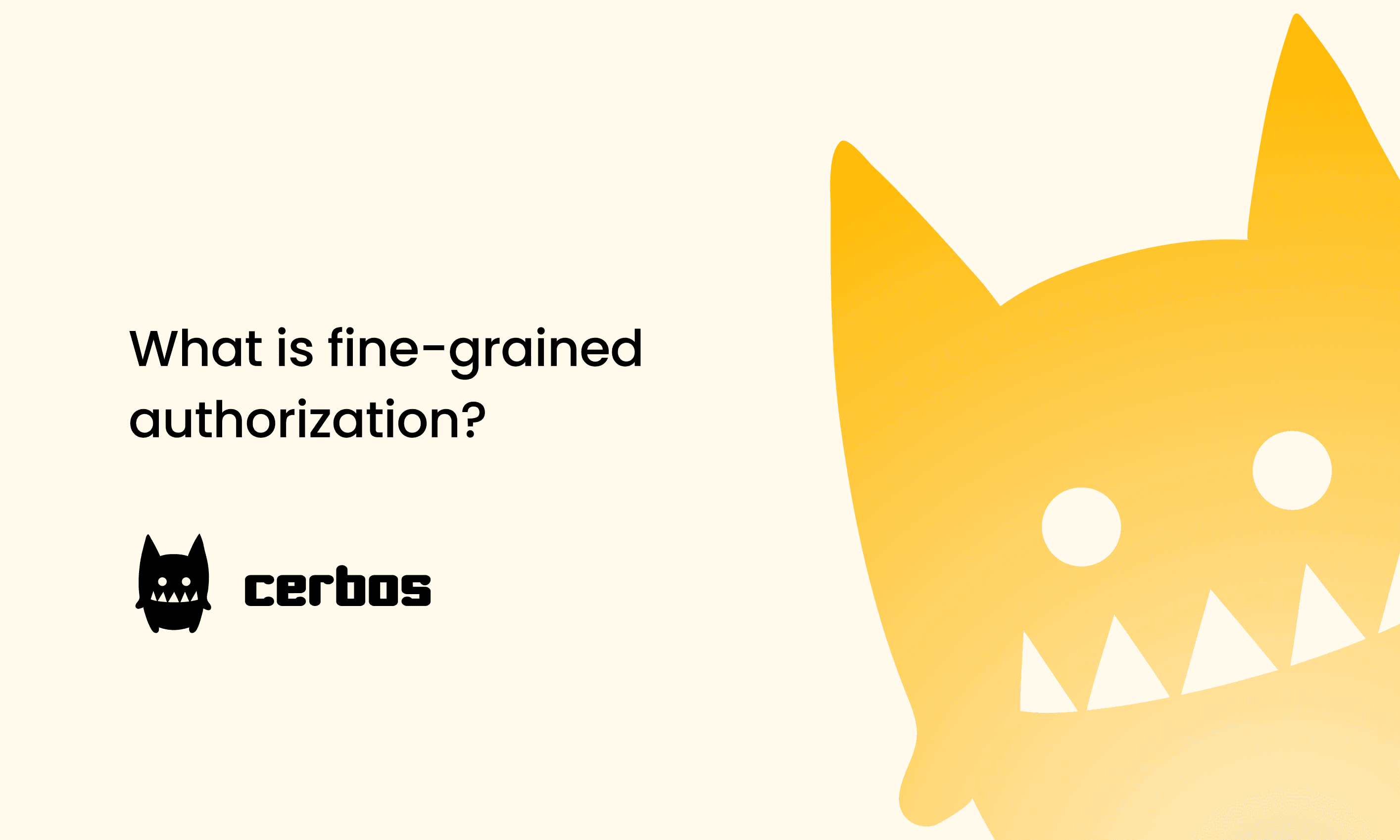 What is fine-grained authorization?