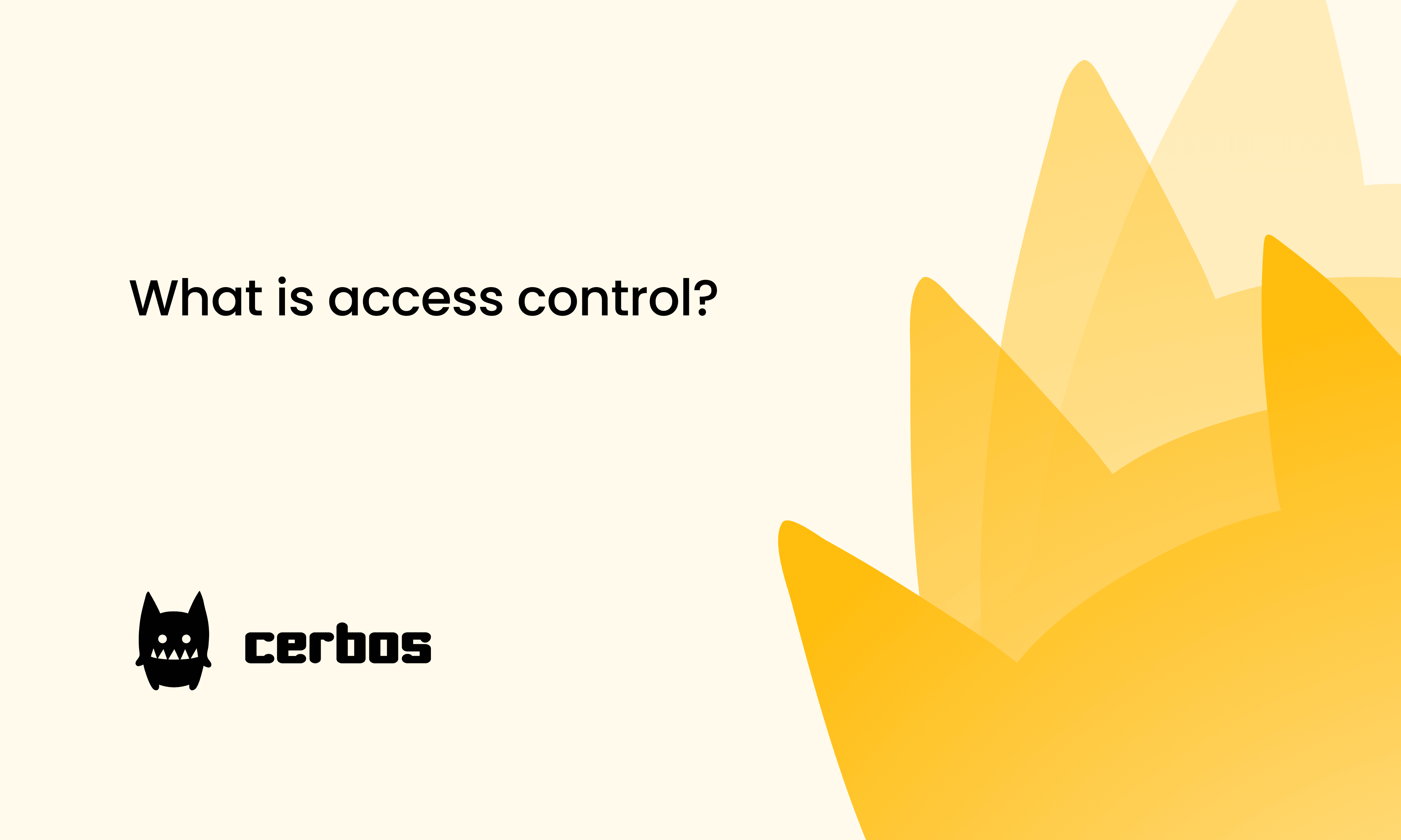 What is access control?
