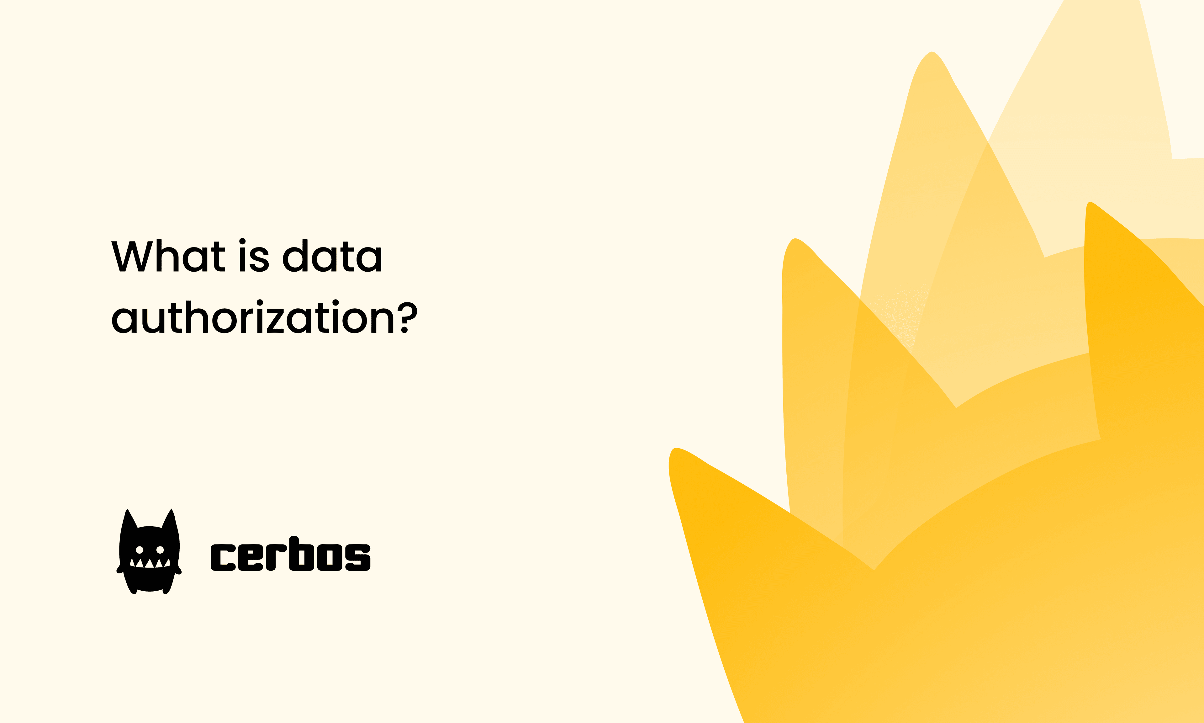 What is data authorization?