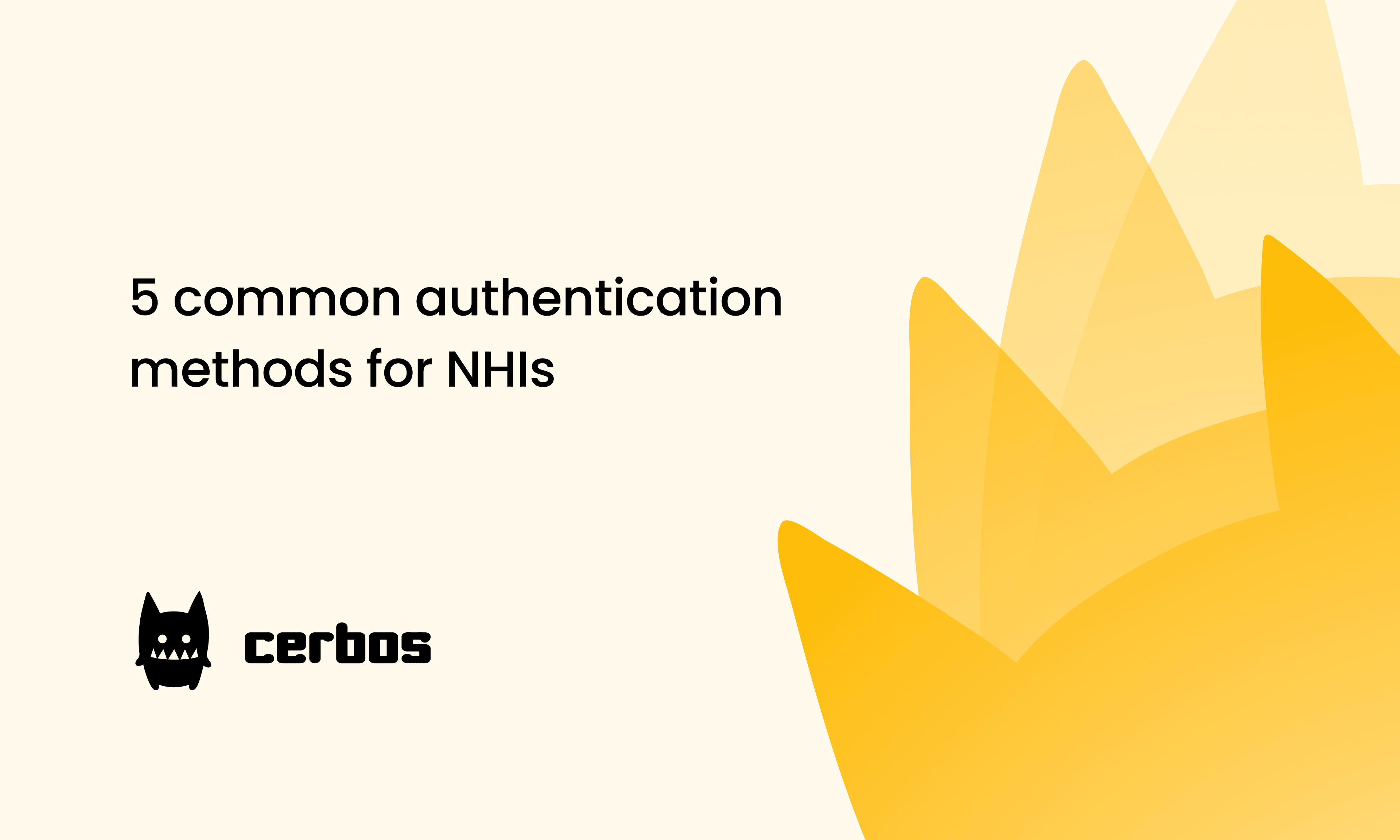 5 common authentication methods for NHIs