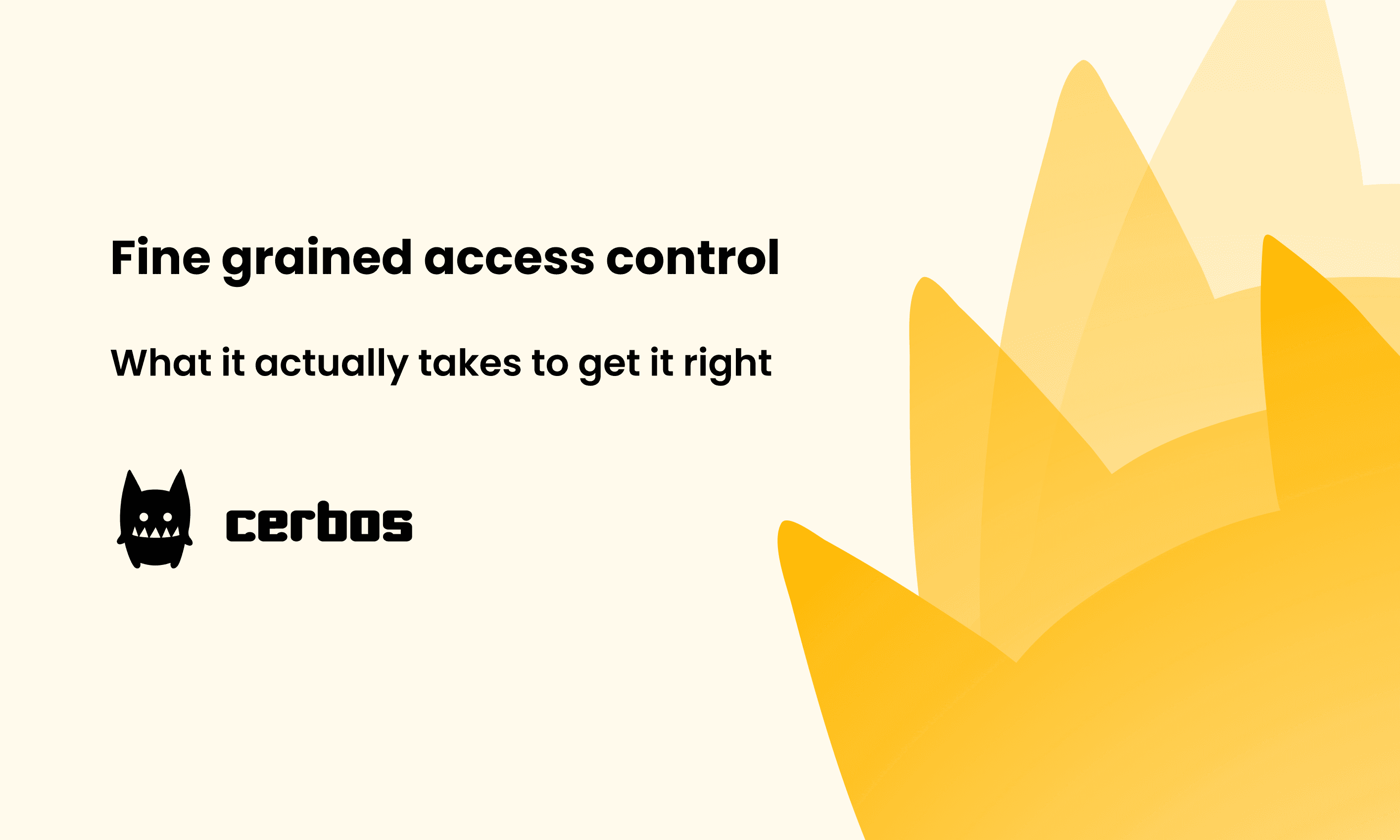 Fine grained access control: What it actually takes to get it right