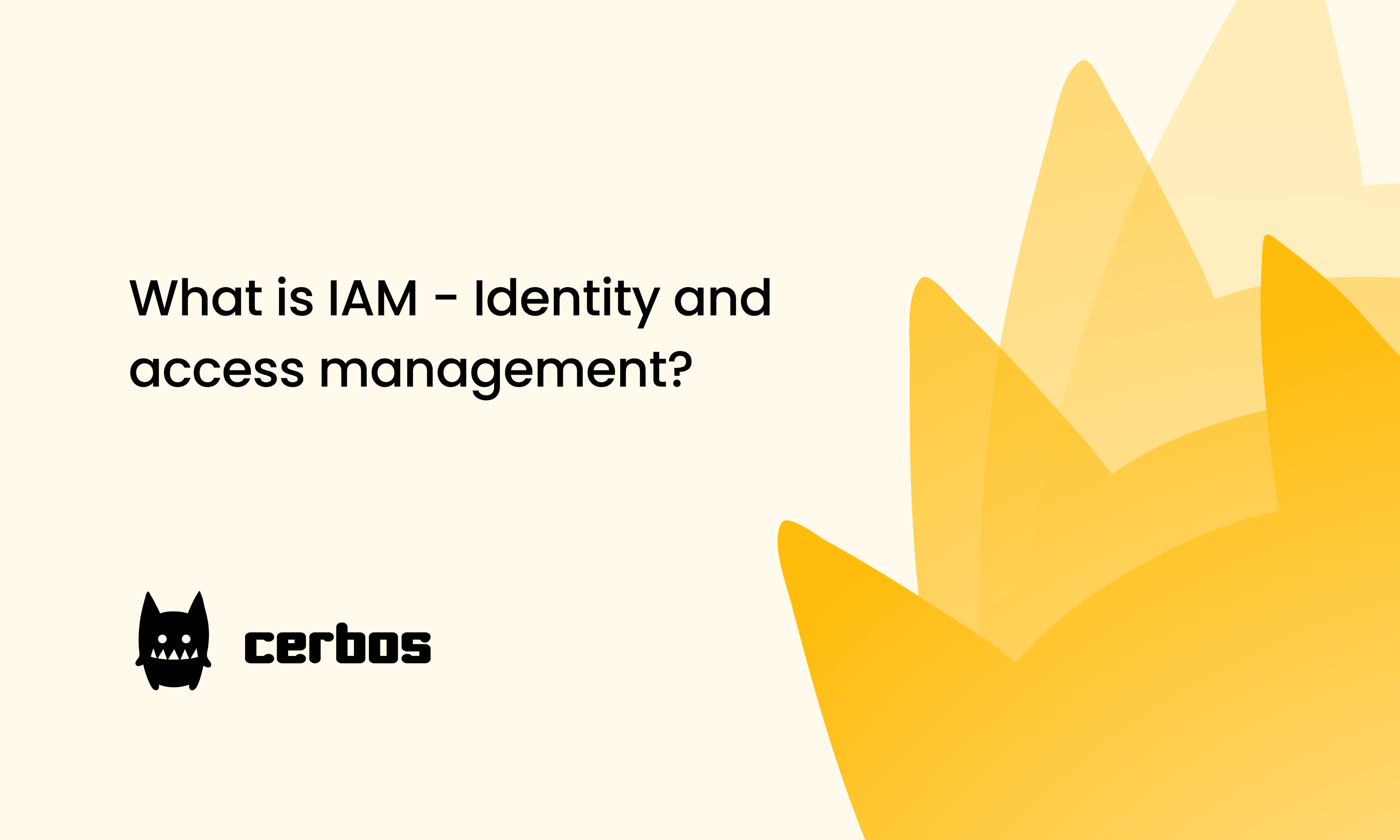 What is IAM - Identity and access management?