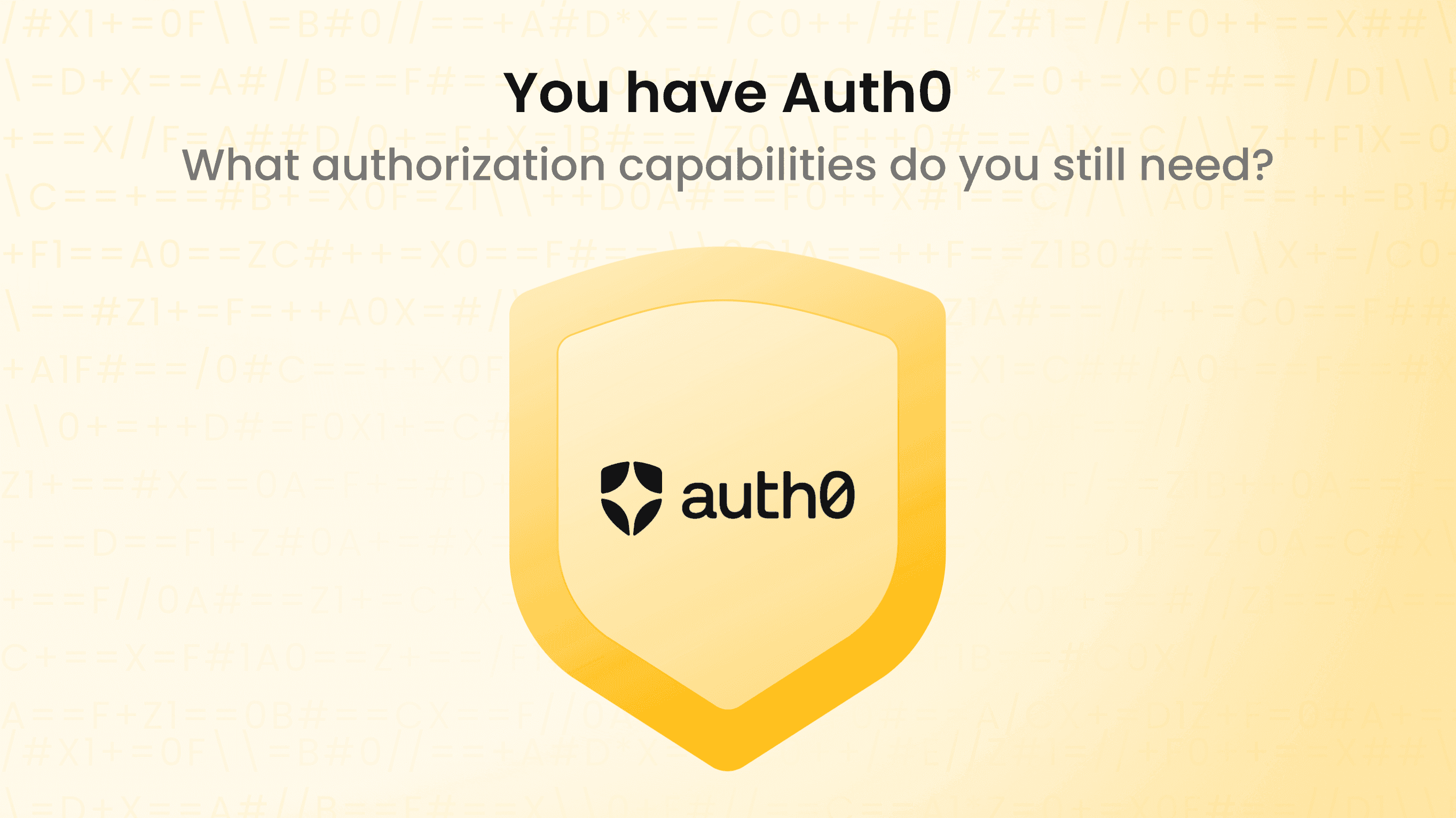 You have Auth0. What authorization capabilities do you still need?